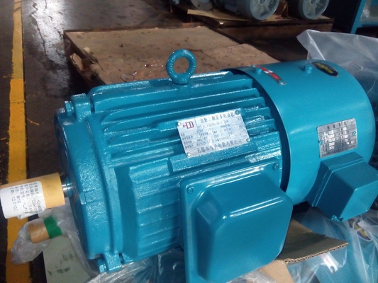 Hoge Torsie Asynchrone Motor In drie stadia 380V 50HZ met H100 Gietijzerkader