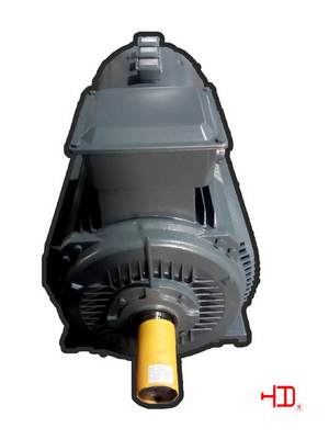 De industriële 45KW 160KW-Motor van de Omschakelaarsplicht Elektrisch voor CEI/GB van de Waterpomp